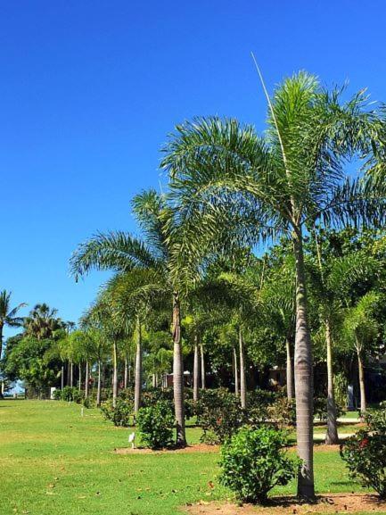 Dunk Island View Caravan Park Wongaling Beach Esterno foto