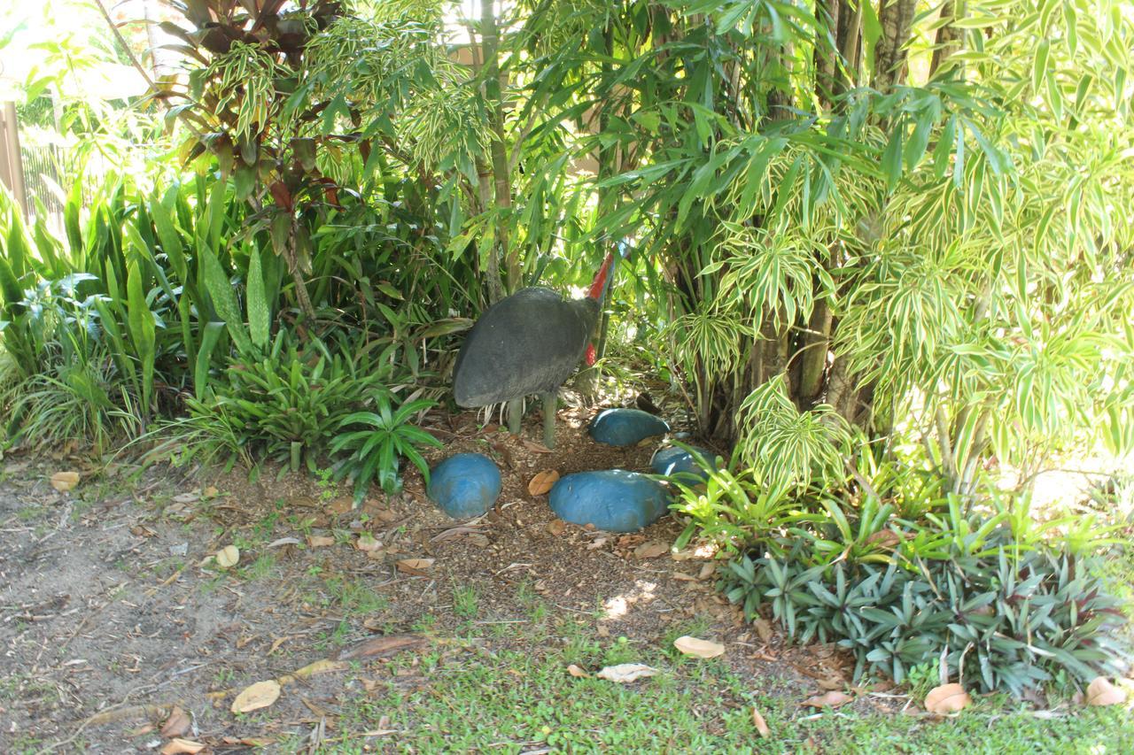 Dunk Island View Caravan Park Wongaling Beach Esterno foto